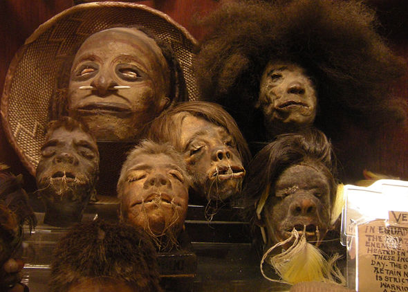 جيفارو 5.jpg.jpg