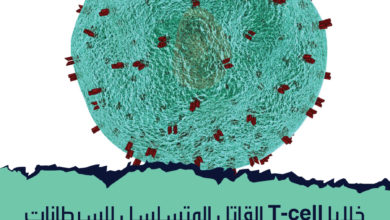 خلايا T-cell القاتل المتسلسل للسرطانات، اكتشفت حديثًا