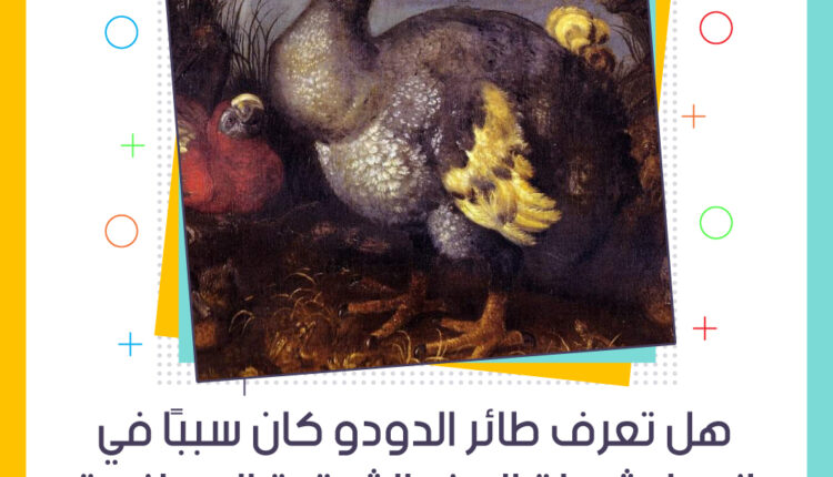 هل تعرف طائر الدودو كان سبب ا في انهيار شرطة الهند الشرقية الهولندية شخابيط