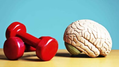 المخ والعضلات.. أيهما أفضل للقيادة؟