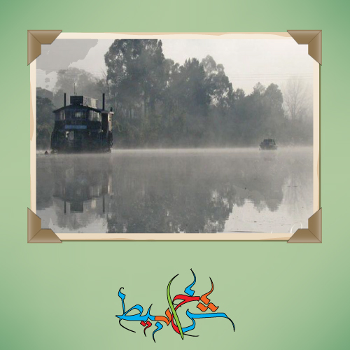 لغز رجل الرف المعدني