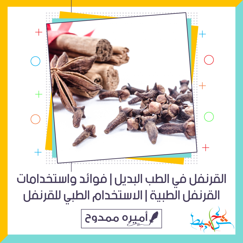 القرنفل في الطب البديل | فوائد واستخدامات القرنفل الطبية | الاستخدام الطبي للقرنفل