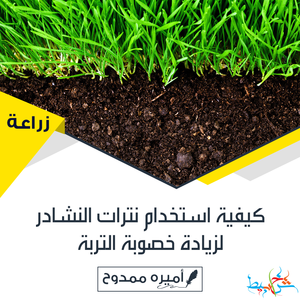 كيفية استخدام نترات النشادر لزيادة خصوبة التربة